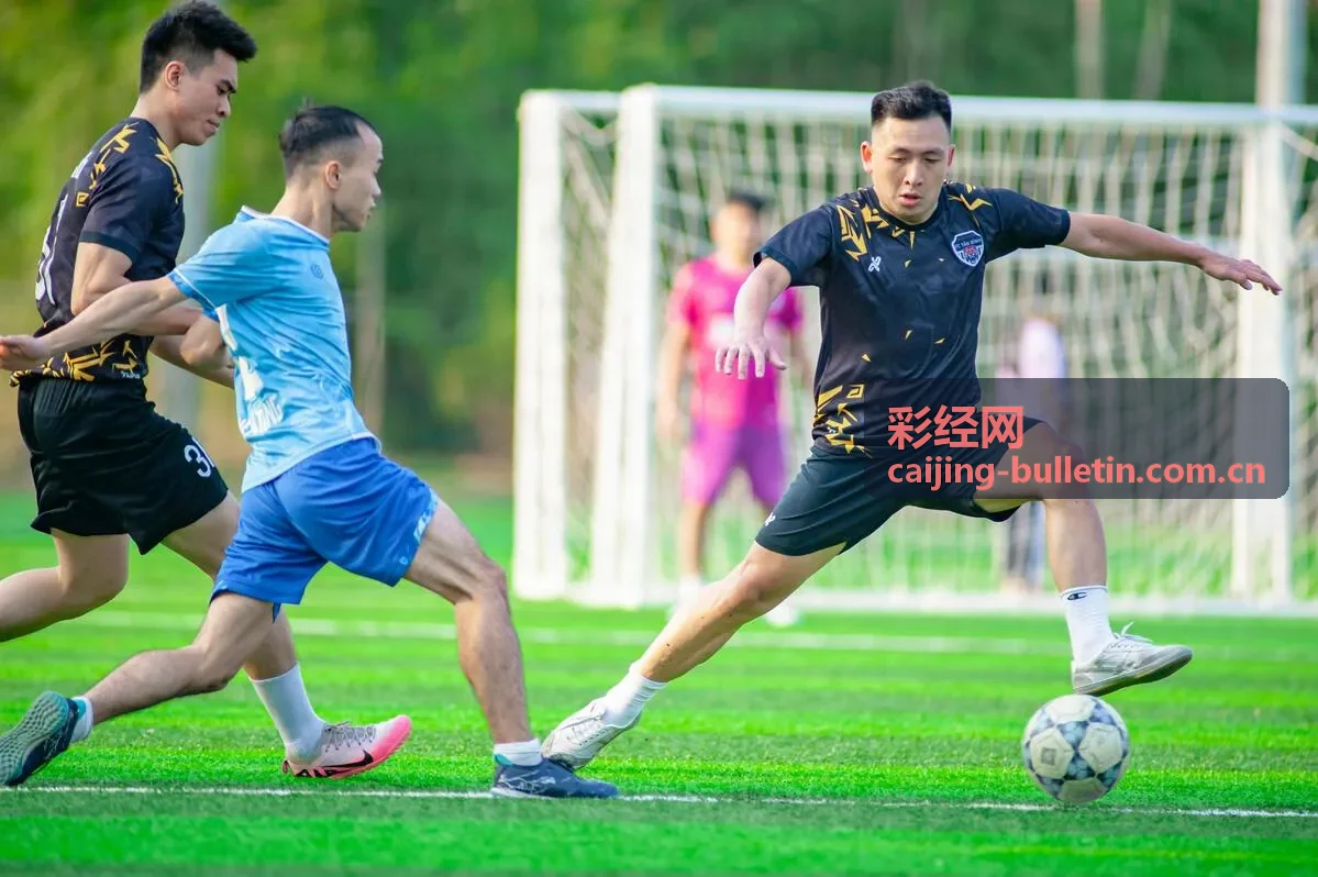 彩经网走势分析图表详解